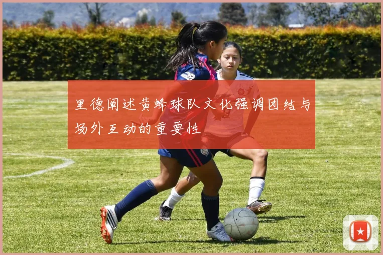 里德阐述黄蜂球队文化强调团结与场外互动的重要性